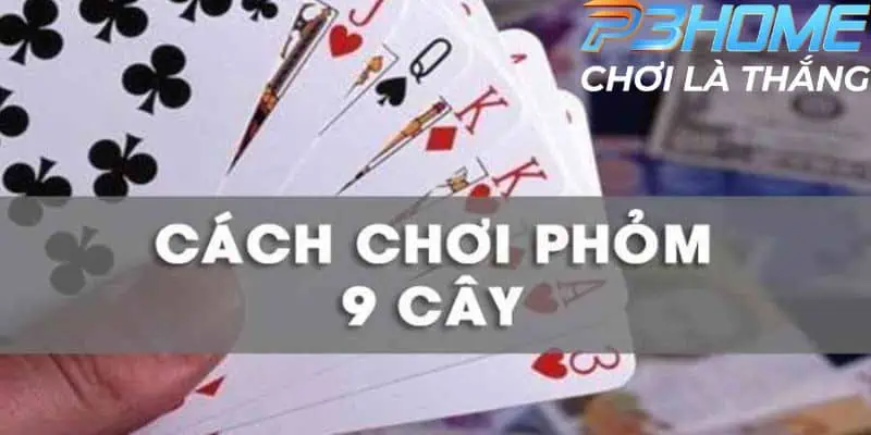 Chi tiết về cách chơi bài phỏm từ A đến Z cho bạn mới 